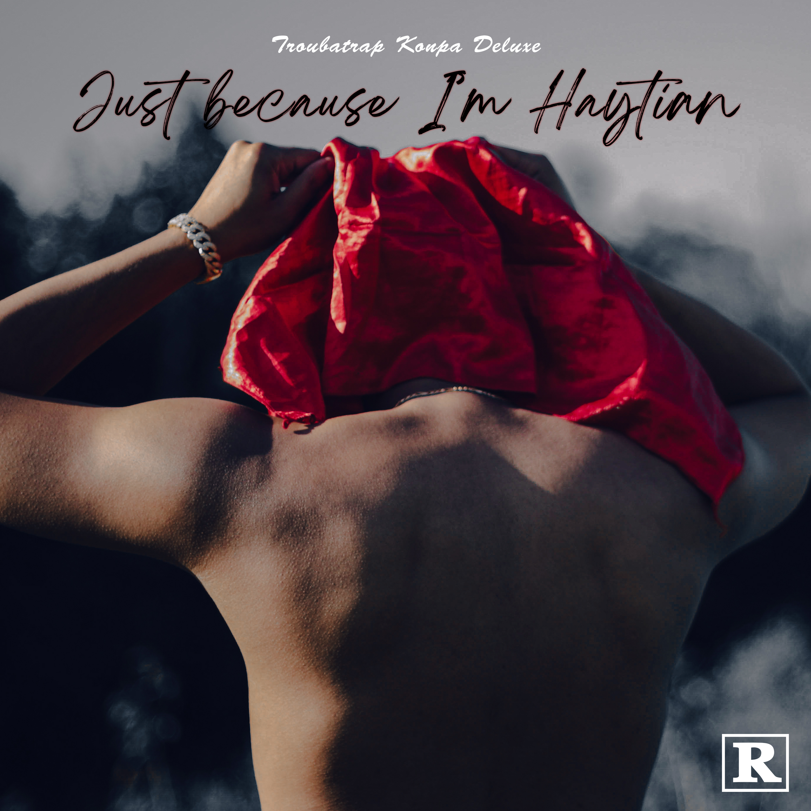Just Because I'm Haytian: Troubatrap Konpa Deluxe